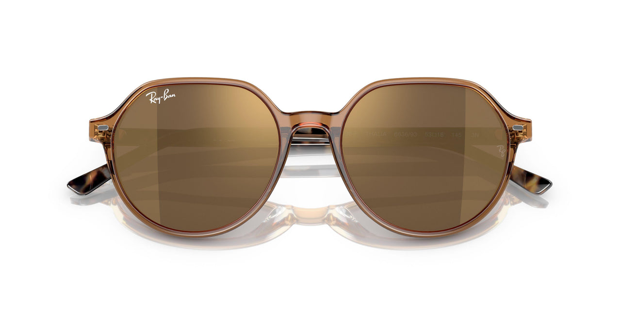 663693 - Brown - Brown Mirror Gold