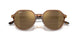 663693 - Brown - Brown Mirror Gold