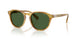 618571 - Tortoise - Bottle Green