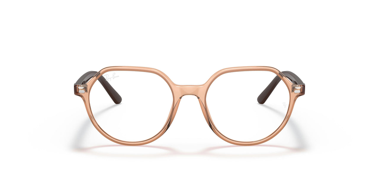 3899 - Brown