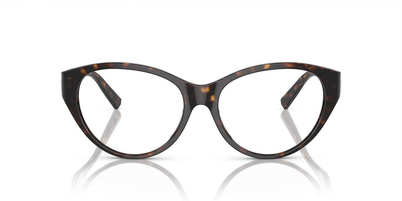 8015 - Tortoise