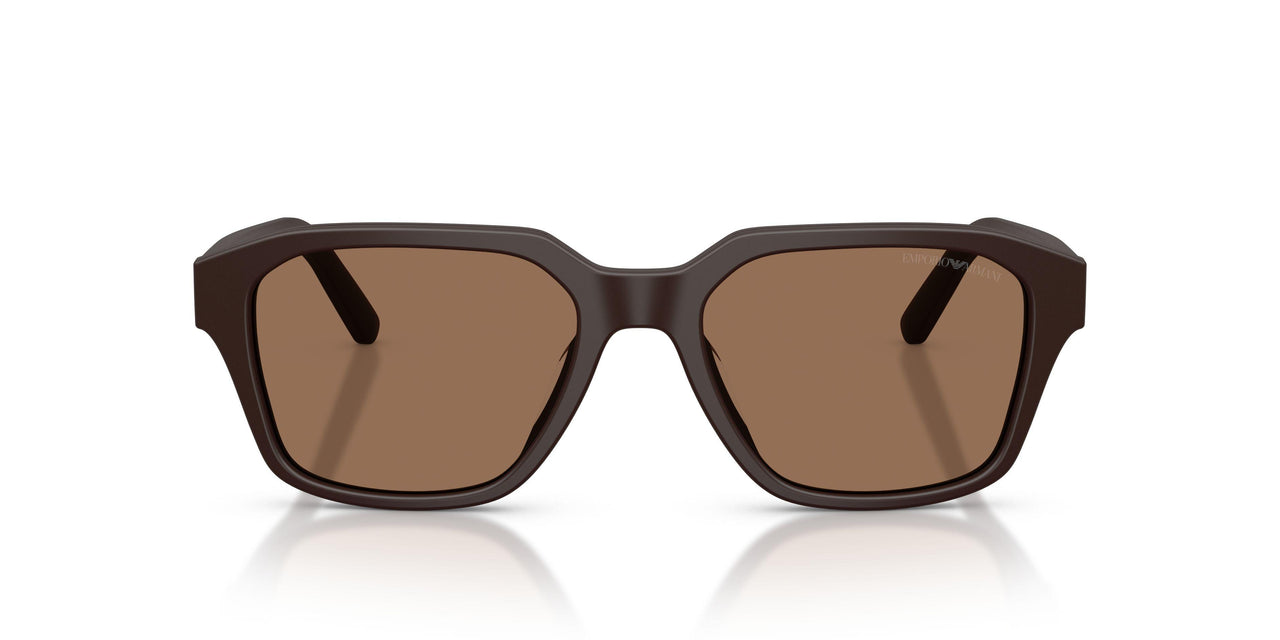 645873 - Brown - Dark Brown
