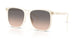 5853G9 - Ivory - Warm Grey Gradient