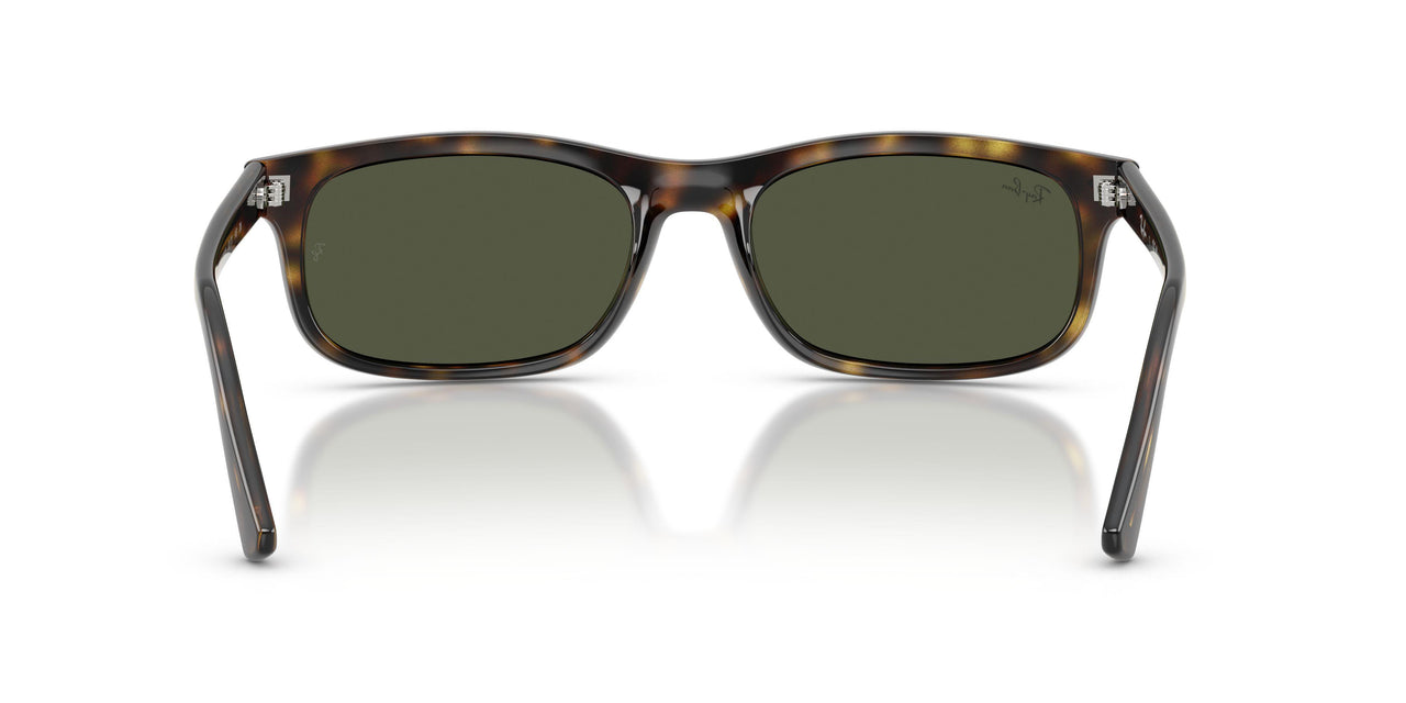 710/31 - Tortoise - Green