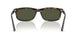 710/31 - Tortoise - Green