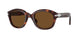 24/57 - Tortoise - Polarized Brown