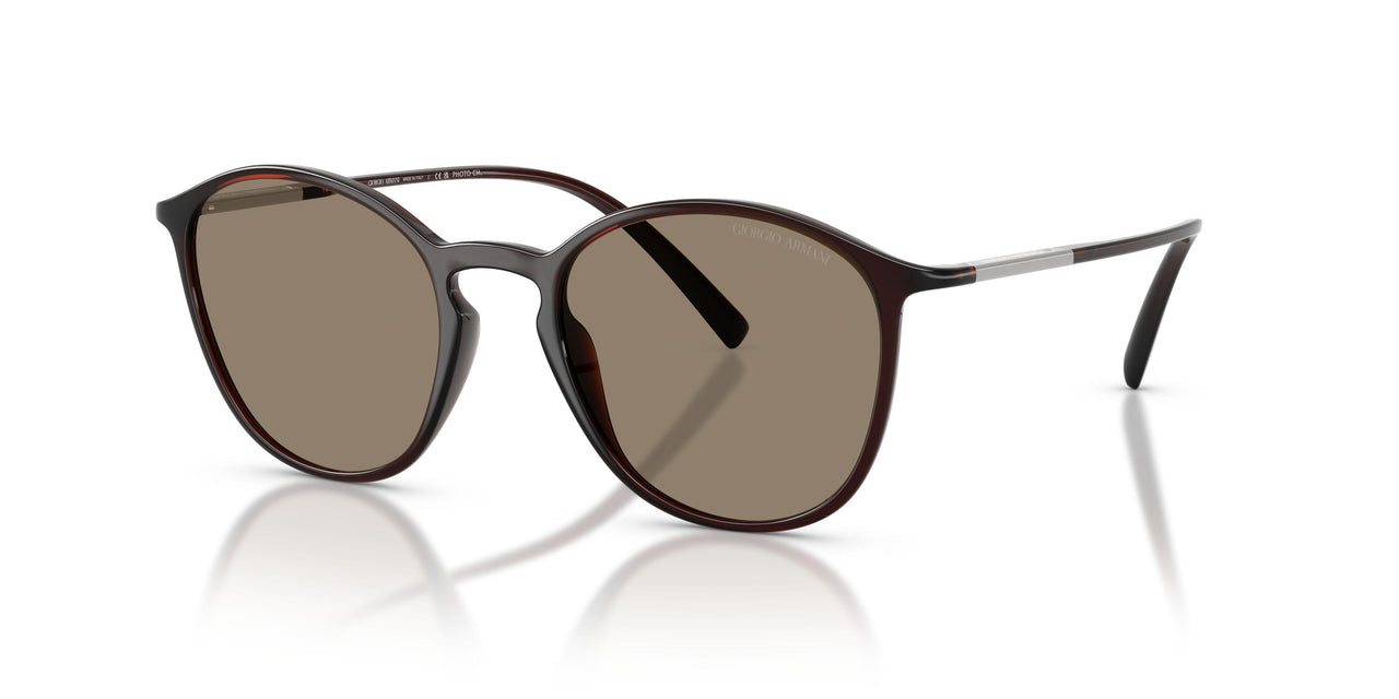 6239M4 - Brown - Photochromatic Brown