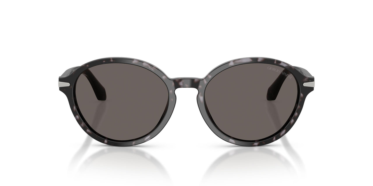 6236B1 - Tortoise - Dark Grey
