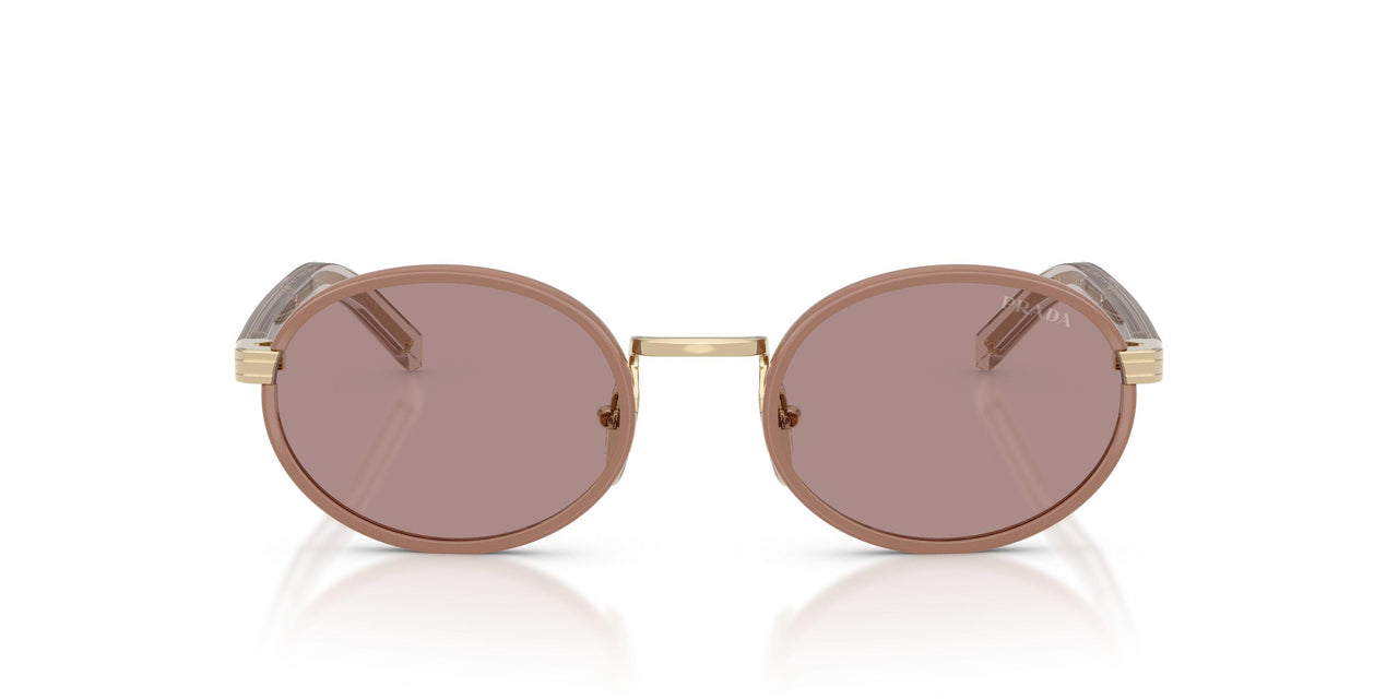 24E20I - Brown - Light Purple Brown