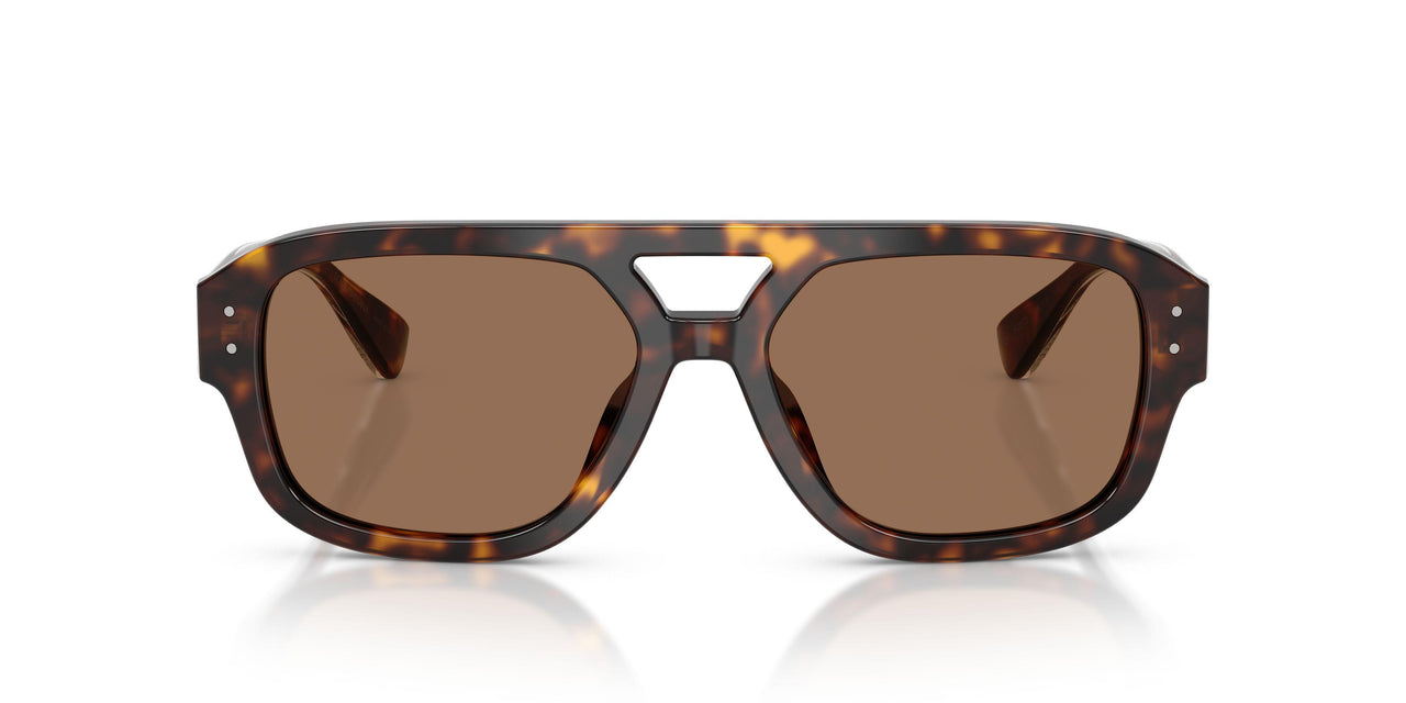 502/73 - Tortoise - Dark Brown