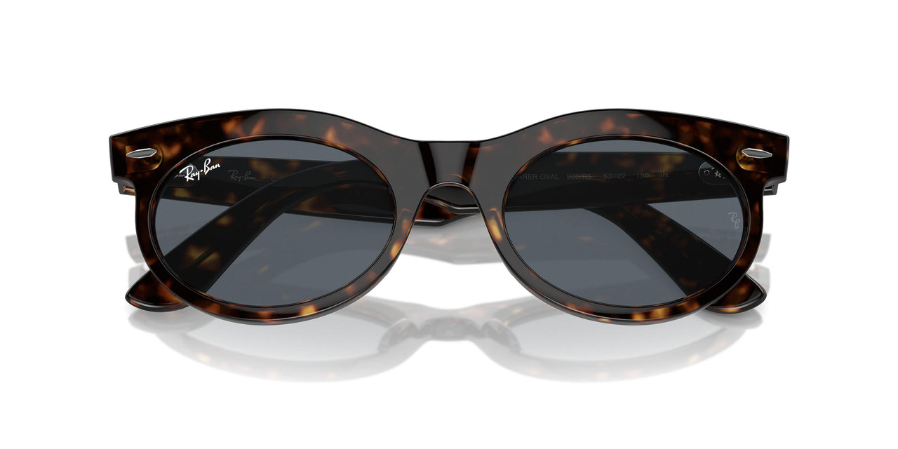 902/R5 - Tortoise - Blue