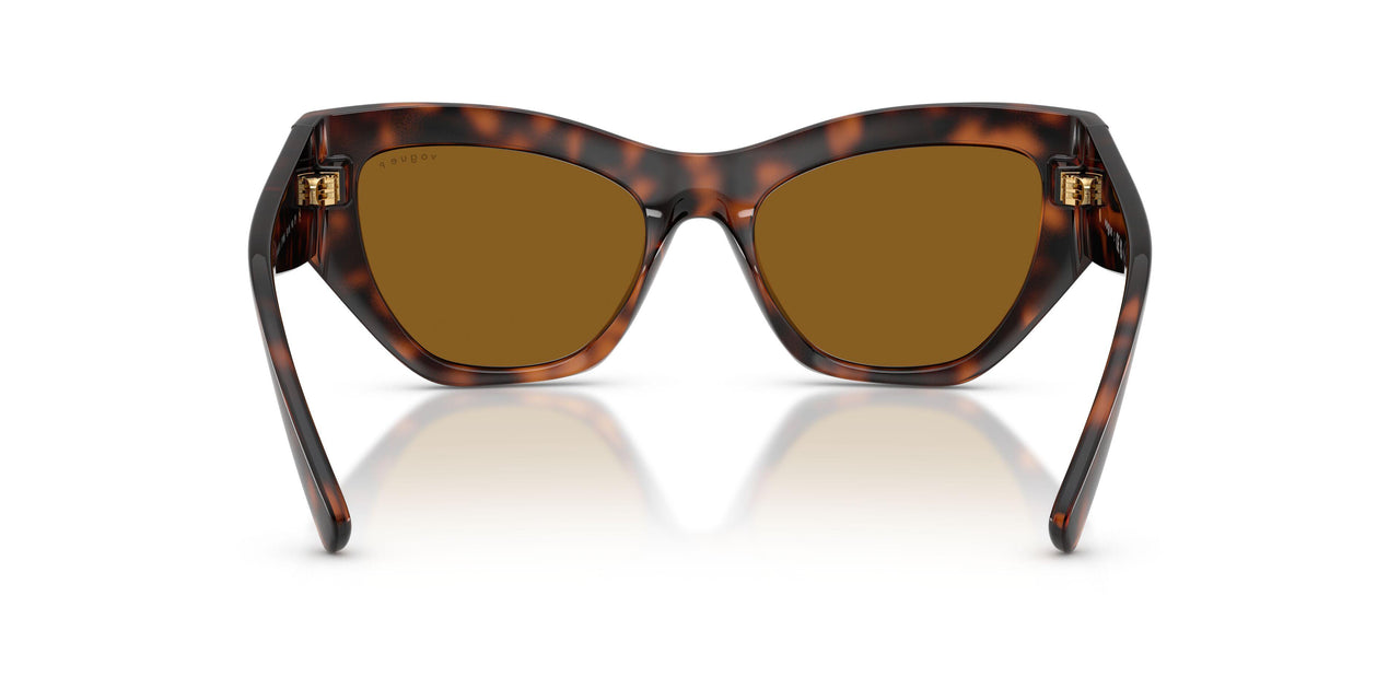 271883 - Brown - Dark Brown Polar
