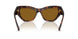 271883 - Brown - Dark Brown Polar