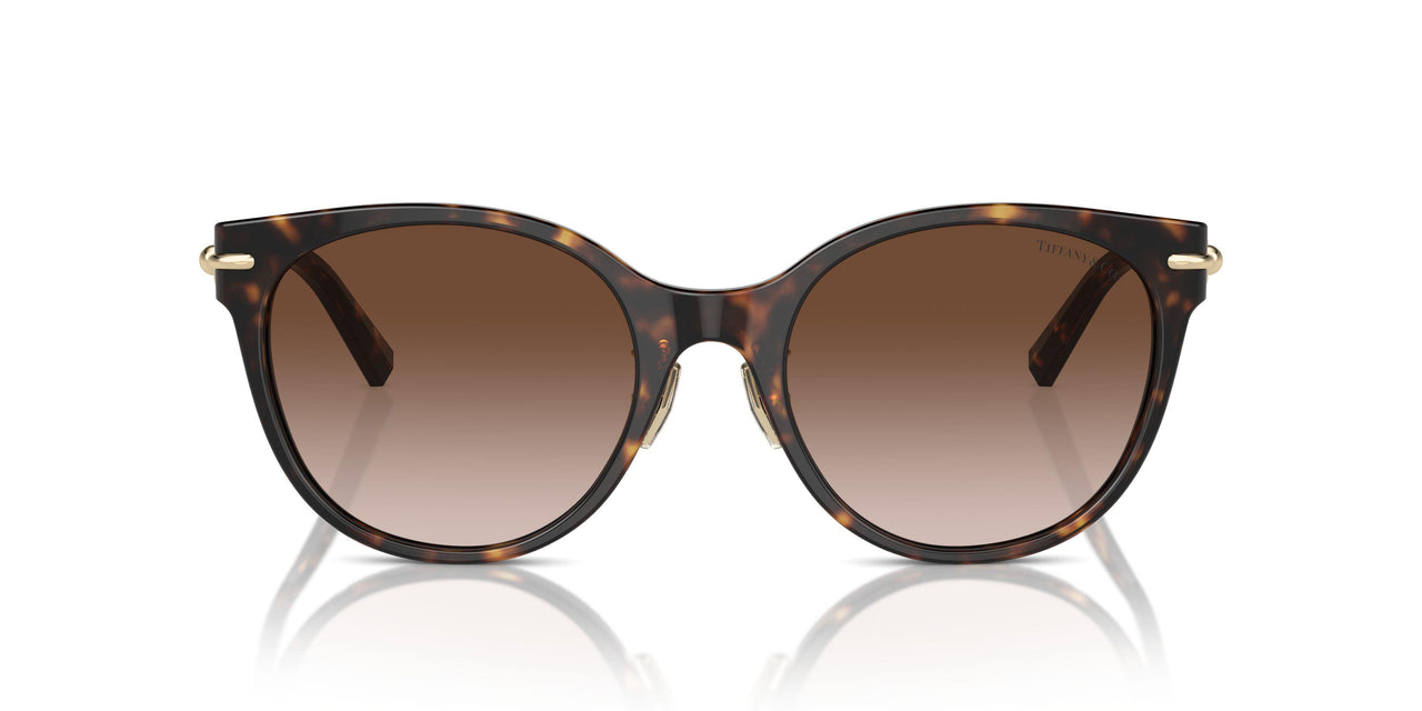80153B - Tortoise - Brown Gradient