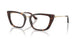 5002 - Tortoise