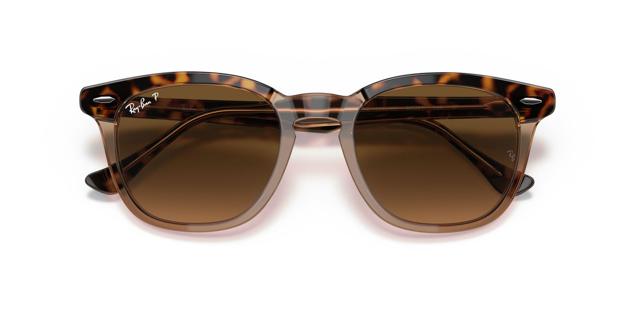 1292M2 - Havana - Brown Gradient Polar
