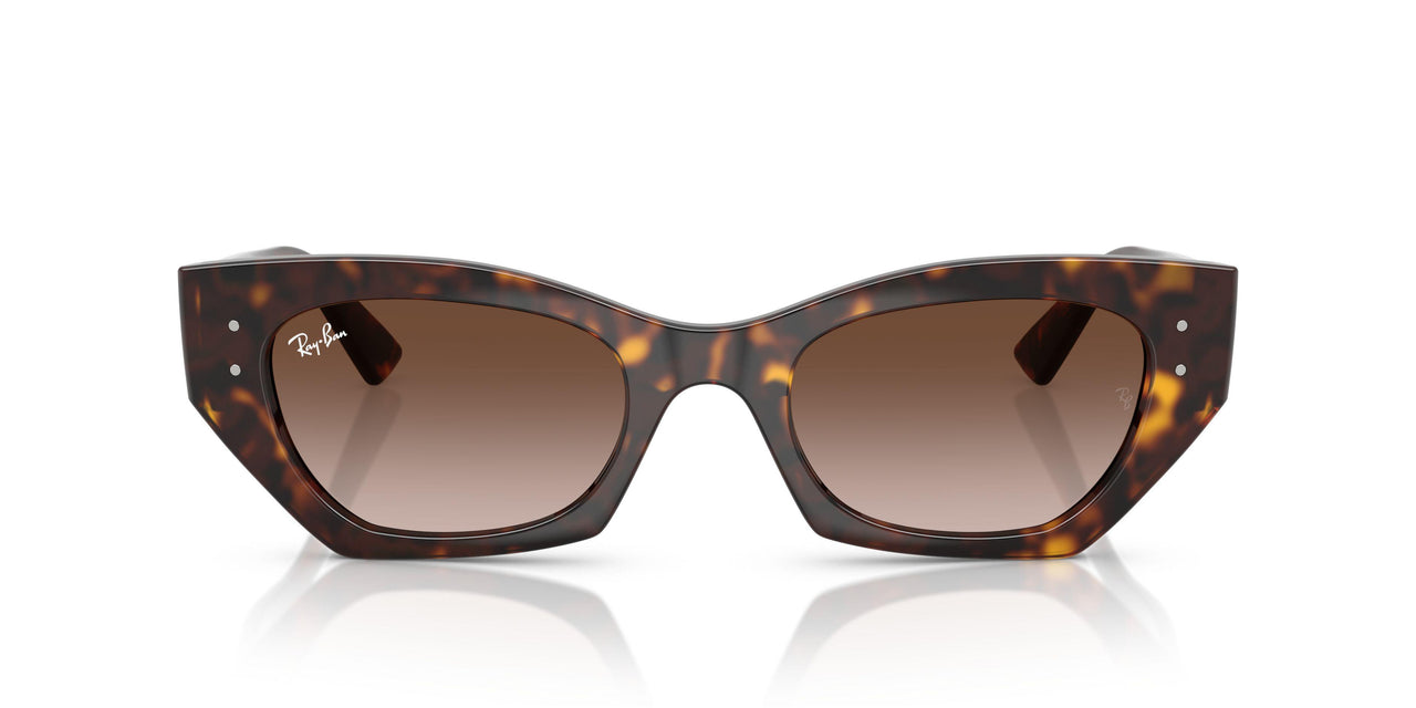 135913 - Tortoise - Gradient Brown