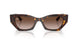 135913 - Tortoise - Gradient Brown
