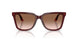 632013 - Red - Brown Gradient
