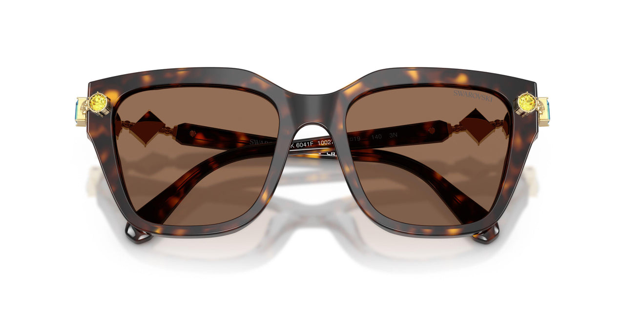 100273 - Tortoise - Dark Brown