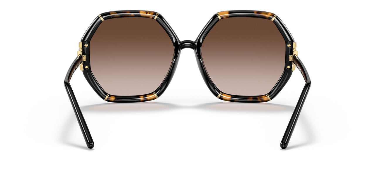 189613 - Havana - Brown Gradient