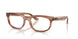8399 - Tortoise - Clear