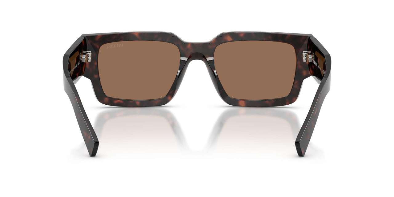 17N06B - Tortoise - Dark Brown