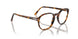 1052 - Tortoise - Clear