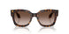 502613 - Tortoise - Gradient Brown