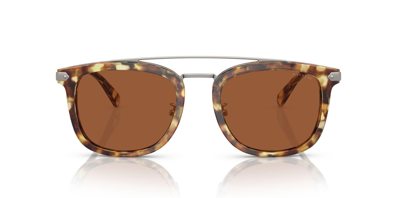 504573 - Tortoise - Brown Solid