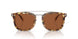 504573 - Tortoise - Brown Solid