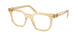 11T1O1 - Brown