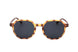 Bolon BL6099 Sunglasses