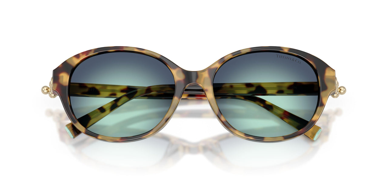 80649S - Tortoise - Gradient Blue