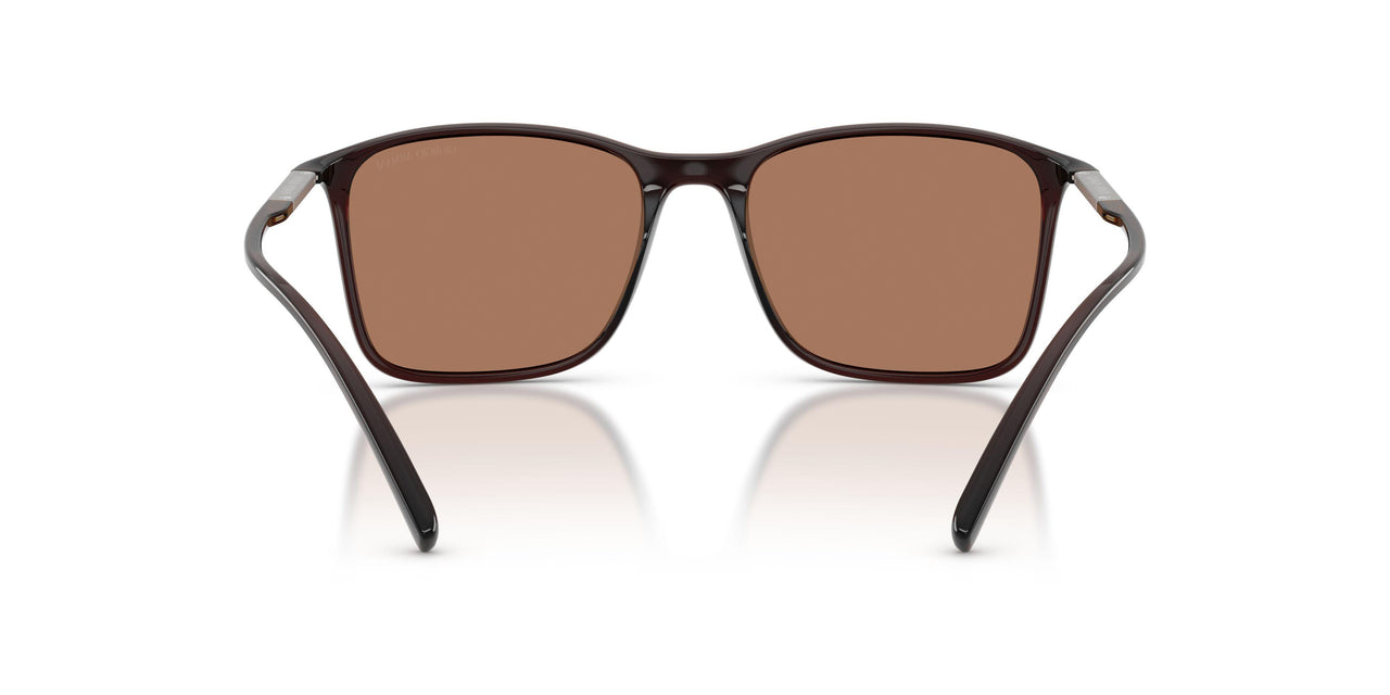 623973 - Brown - Brown