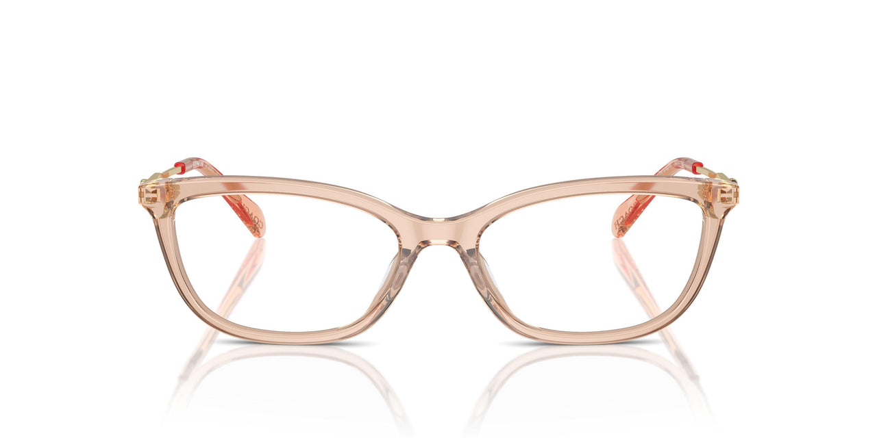 5561 - Brown