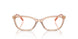 5561 - Brown