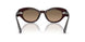 1817GN - Brown - Sandstone Gradient Polarized