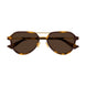 002 - Havana/Gold - Brown