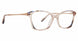 XOXO XOCECILLIA Eyeglasses