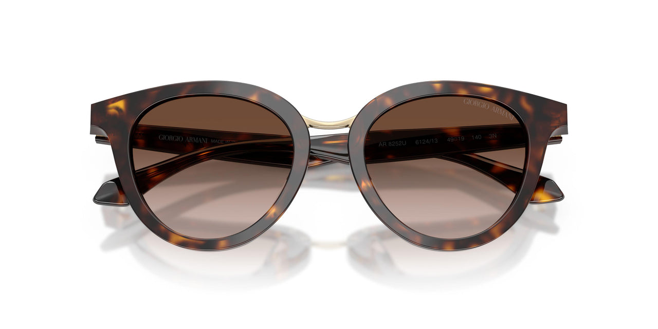 612413 - Tortoise - Brown Gradient
