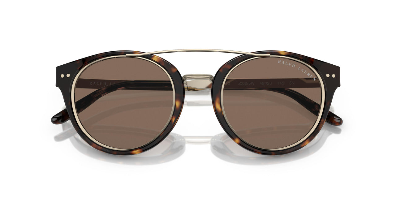 50025W - Tortoise - Brown