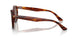 954/AN - Brown - Brown