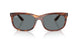954/62 - Brown - Blue