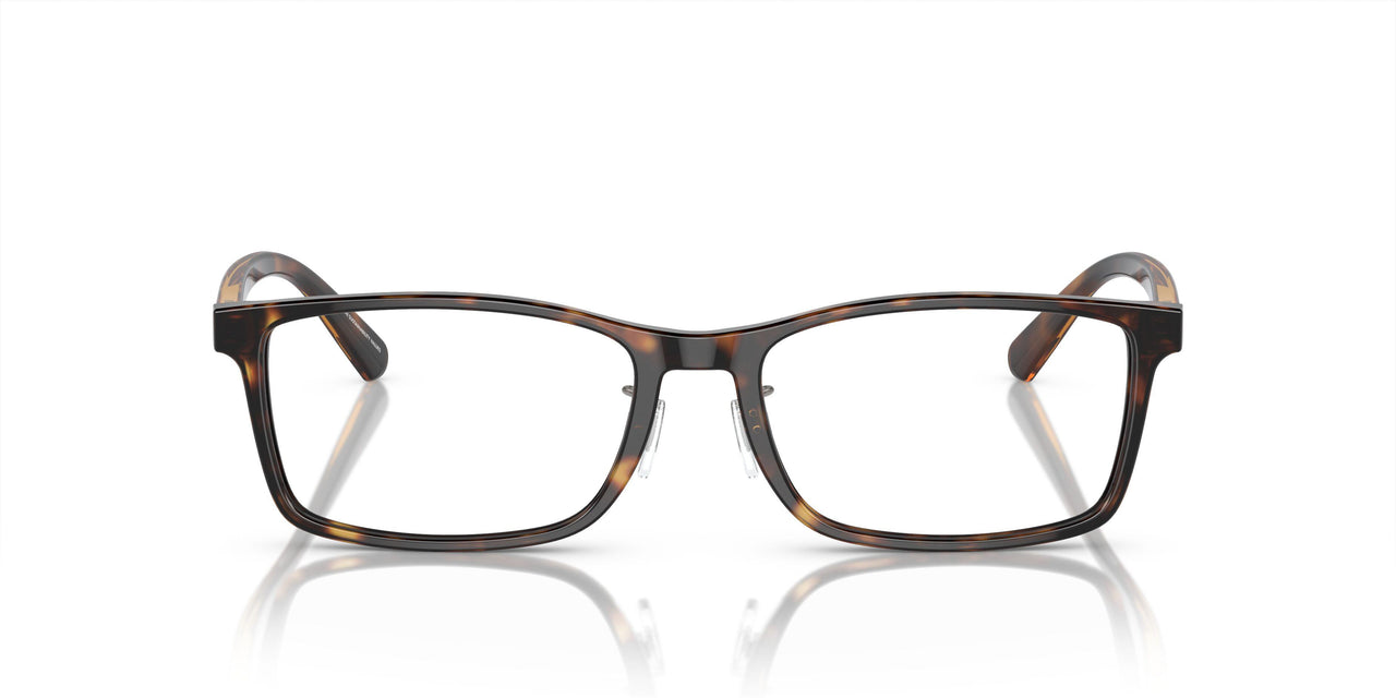 5026 - Tortoise