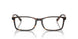 5026 - Tortoise
