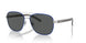 755/81 - Silver - Polarized Grey