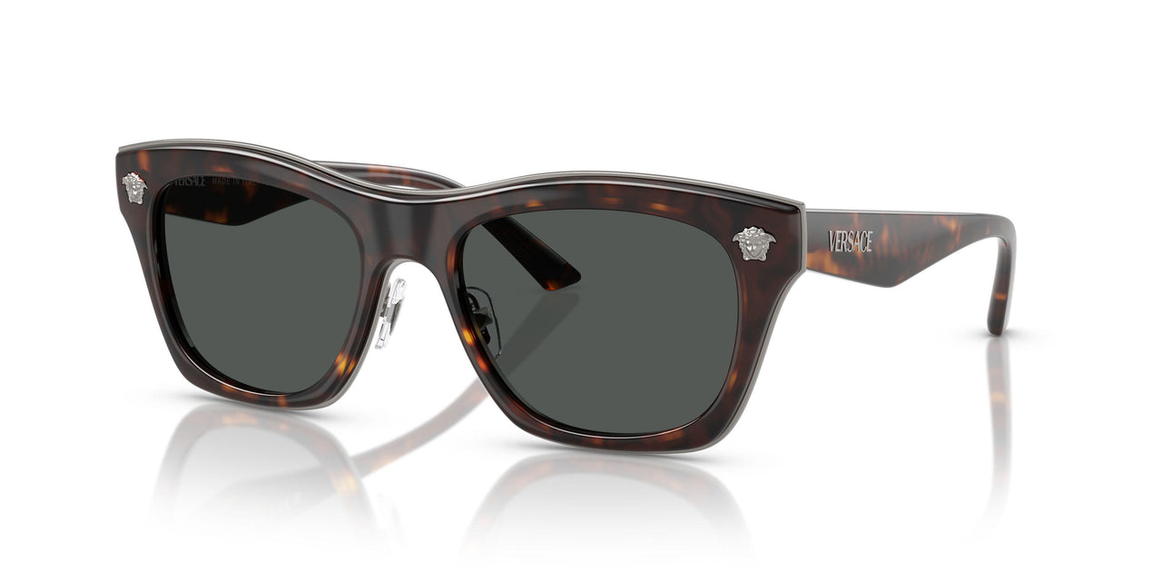 108/87 - Tortoise - Dark Grey