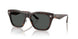 108/87 - Tortoise - Dark Grey