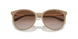 834213 - Brown - Gradient Brown